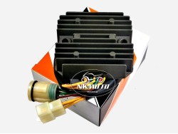 ΑΝΟΡΘΩΤΗΣ XRV 750 AFRICA JAPAN