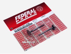 ΒΑΛΒΙΔΕΣ CRYPTON 105 ΣΕΤ FEDERAL ΒΑΛΒΙΔΕΣ CRYPTON 105 ΣΕΤ FEDERAL