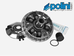 ΒΑΡΙΑΤΟΡ NEXUS 250 / 300 HI-SPEED POLINI ΒΑΡΙΑΤΟΡ NEXUS 250 / 300 HI-SPEED POLINI