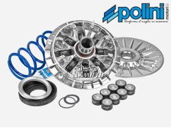 ΒΑΡΙΑΤΟΡ T MAX 530 / 560 HI-SPEED EVOLUTION POLINI