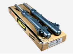 ΚΑΛΑΜΙΑ ASTREA SUPRA ΚΟΜΠΛΕ TOBAKI