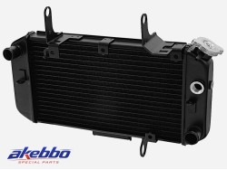 ΨΥΓΕΙΟ ΝΕΡΟΥ DL 650 V STROM 