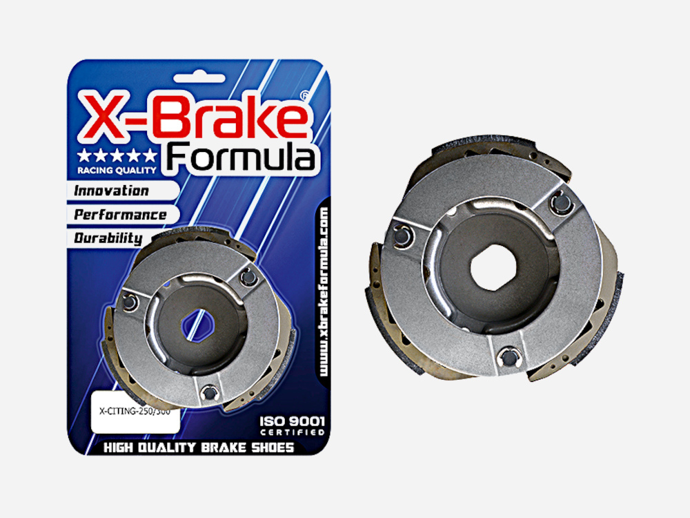 ΣΙΑΓΩΝΕΣ ΦΥΓΟΚΕΝΤΡΙΚΟΥ PEOPLE 250 / 300 X-BRAKE